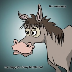 Mr. Suggs Pony 300x300 Mr. Suggss Shiny Beetle Hat